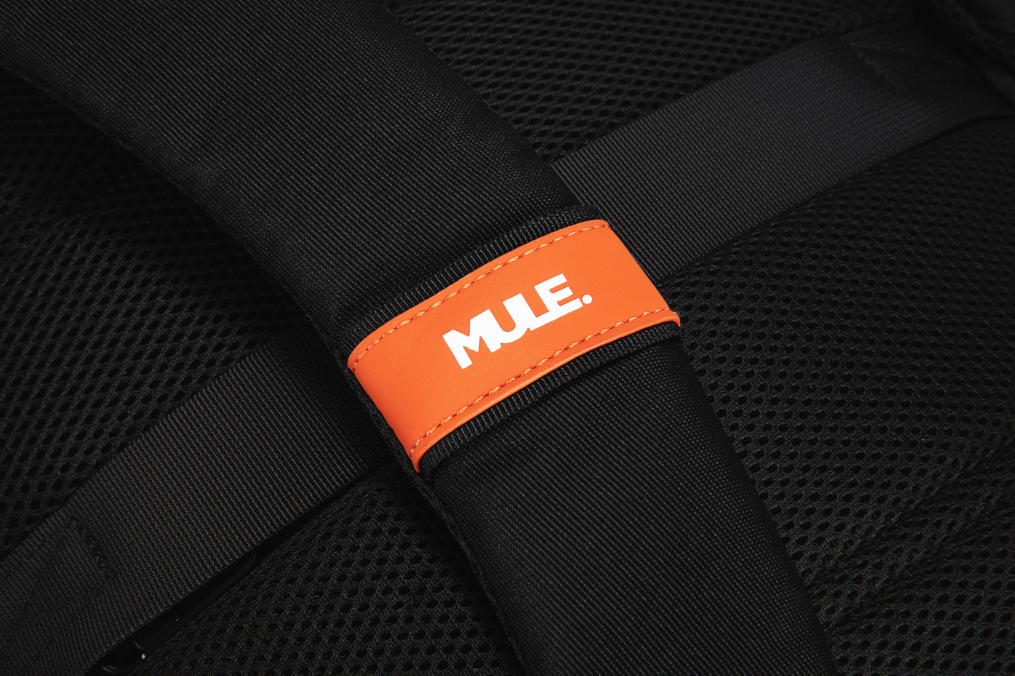 Everyday Backpacks
